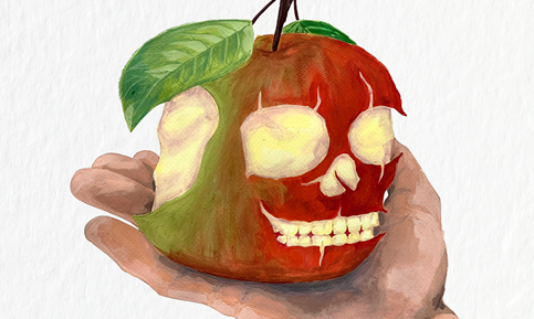 skdz-illustration.jpg