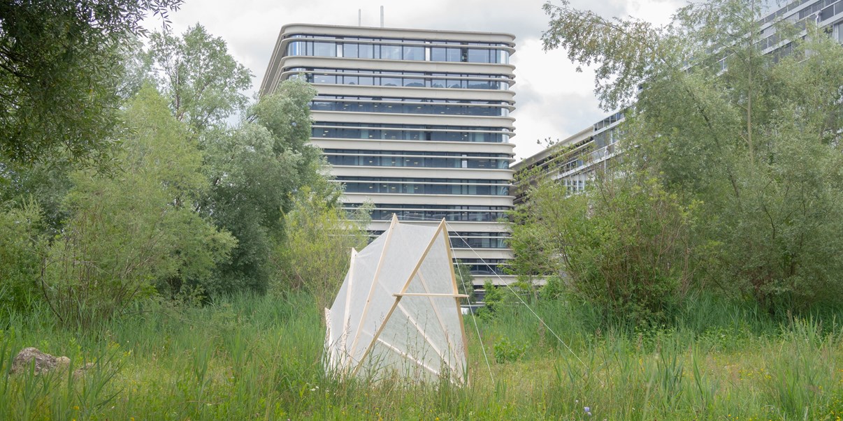 lucas-v-lukas-l-chris-c-6.jpg lucas-v-lukas-l-chris-c-6.jpg