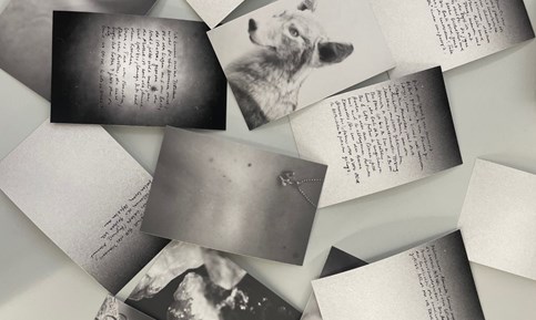 künstlerische-fotografie-vertiefung-2-bild-1.jpg