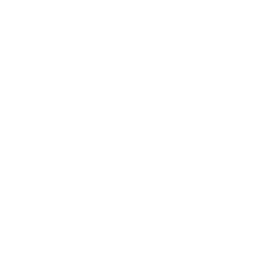 SKDZ Logo 13