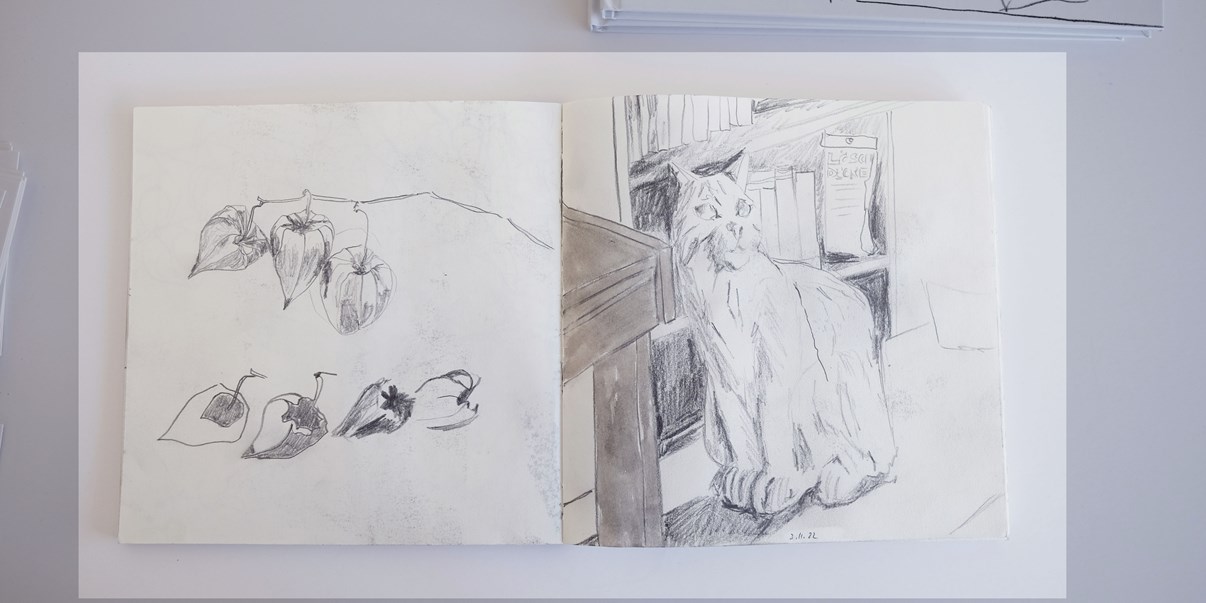 SKDZ Illustration Ruth Scherrer