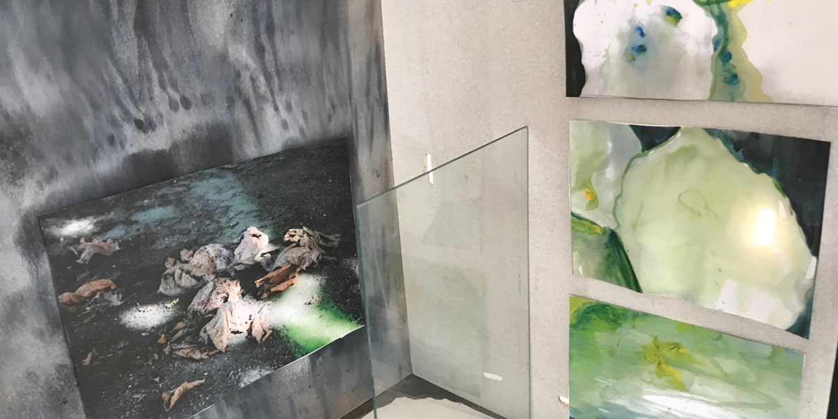 img_6501.jpeg img_6501.jpeg