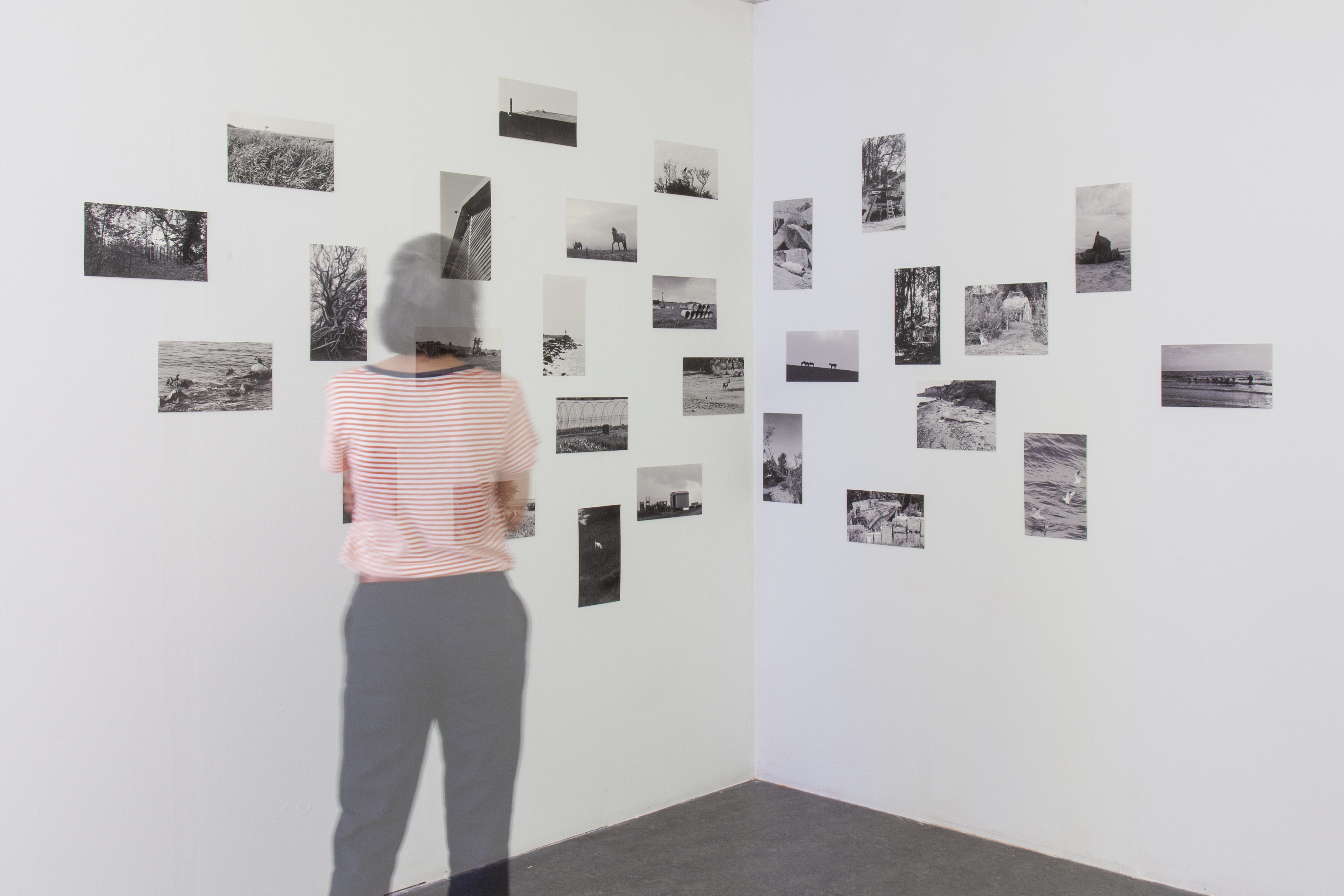 Fotoschule (1)