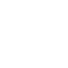 SKDZ Logo 14