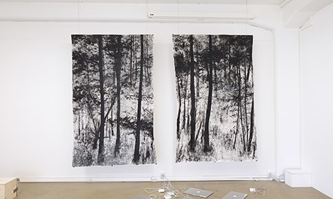 skdz-kunst-002.jpg